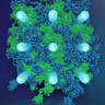 Helium–water compounds exhibit multiple superionic states