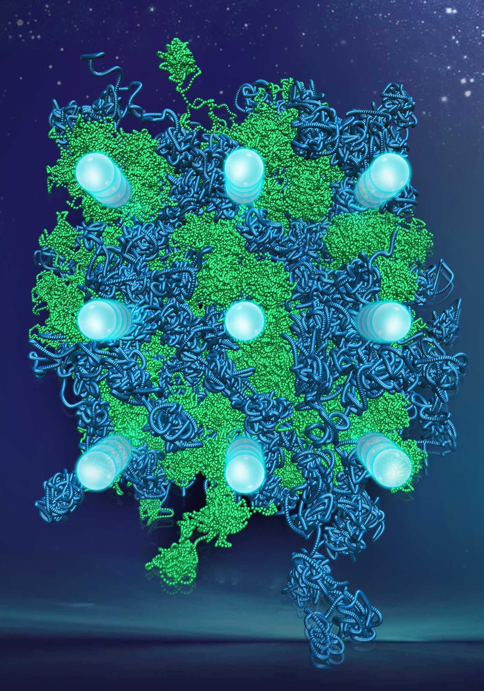 Molecular dynamics trajectories showing the superionic motion of hydrogen and helium atoms (green and dark blue paths), while the oxygen sub-lattice (light blue spheres) remains fixed. Helium–water compounds exhibit multiple superionic states